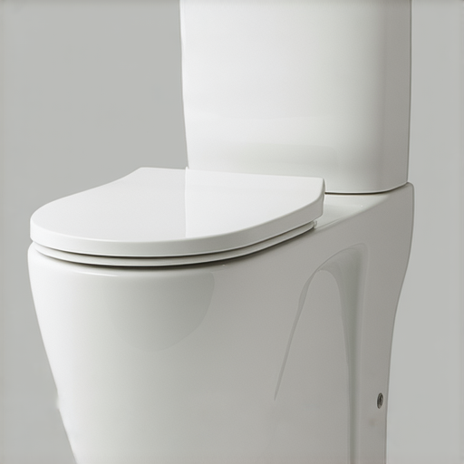 全面了解Toto水箱，選擇完美方案，讓專業服務為你解憂！